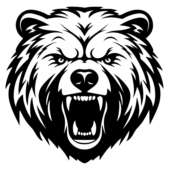 I'DO Hard Enduro logo